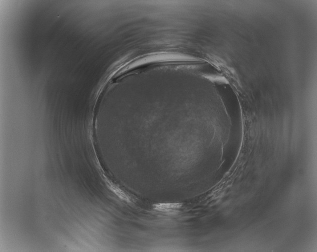 X0000070350051200606161327