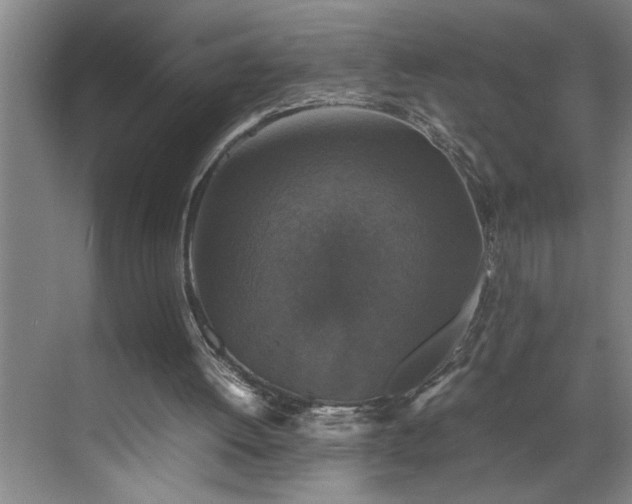 X0000070350052200606161327