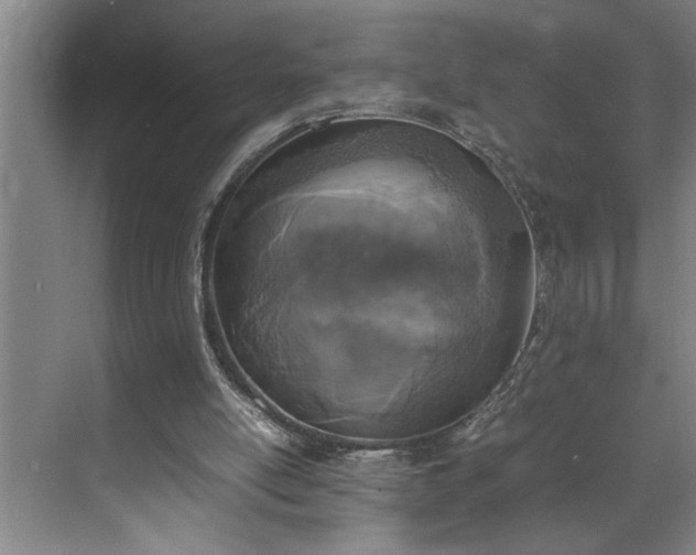 X0000070350054200606161327