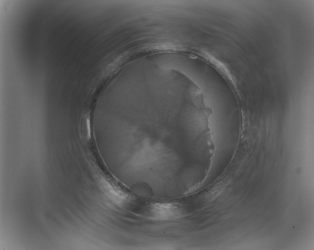 X0000070350061200606161327