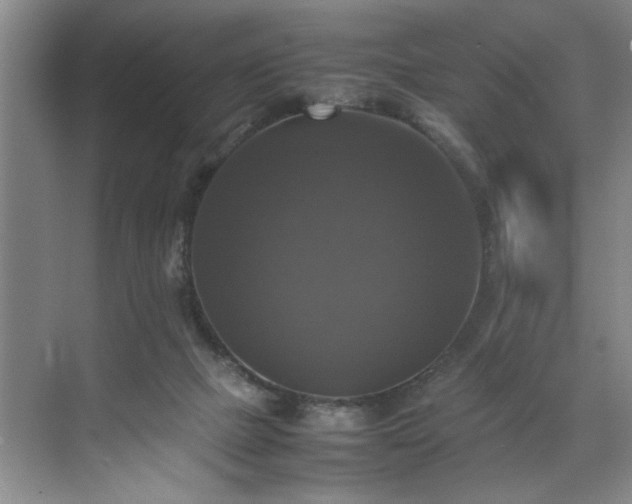 X0000070350073200606161327