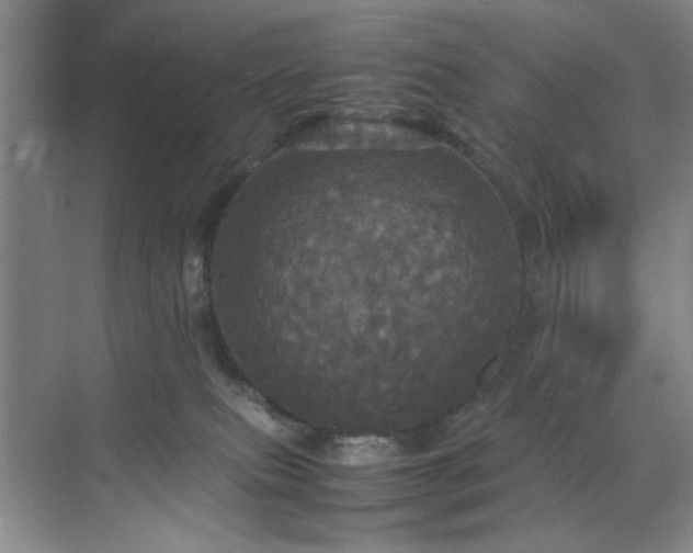 X0000070350087200606161327