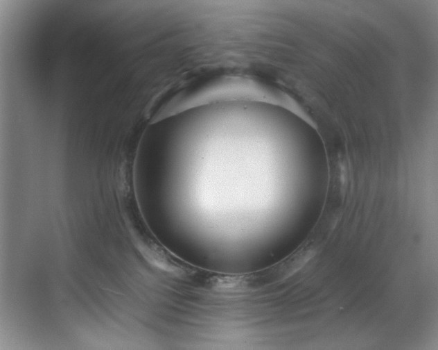 X0000070350088200606161327