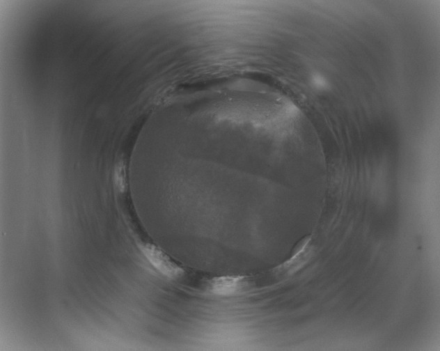 X0000070350090200606161327