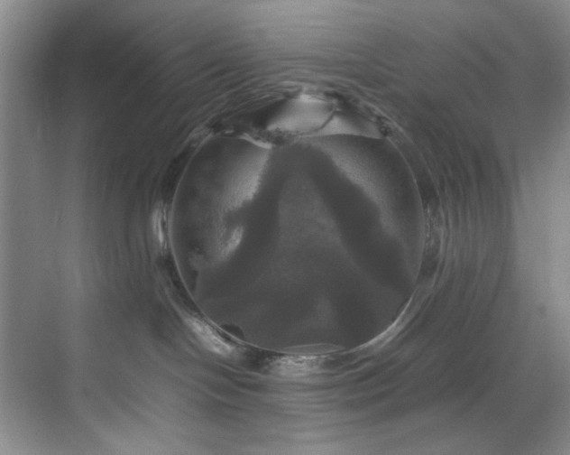 X0000070350094200606161328