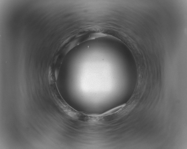 X0000070350096200606161328