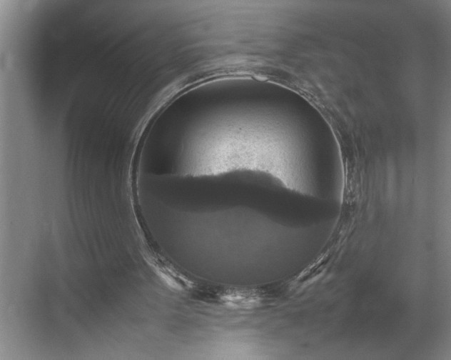 X0000070350099200606161327