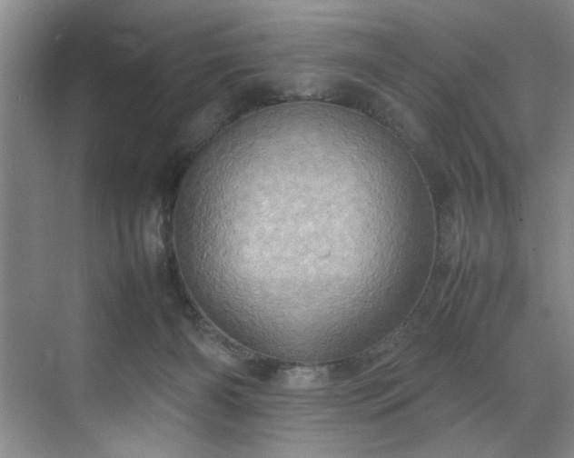 X0000070350126200606161326