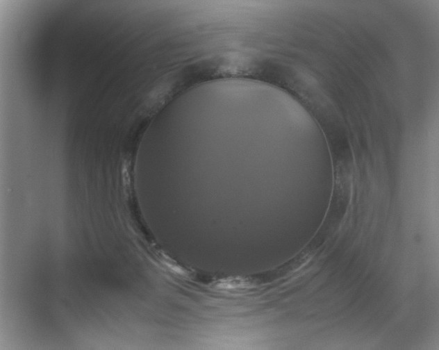 X0000070350127200606161326