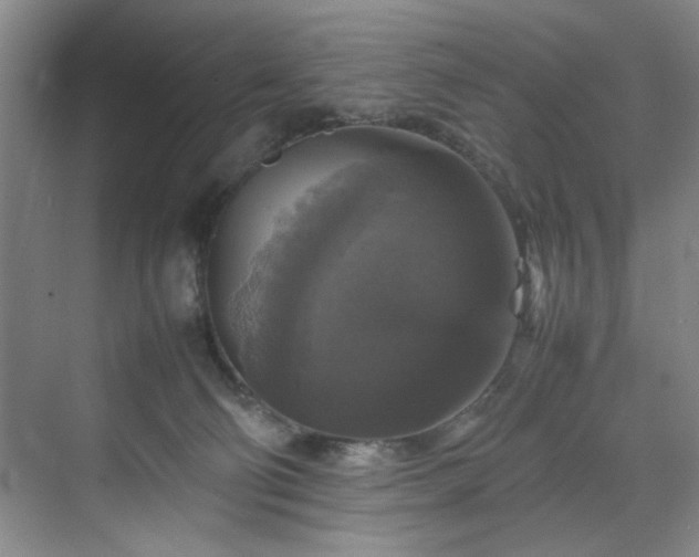 X0000070350130200606161326