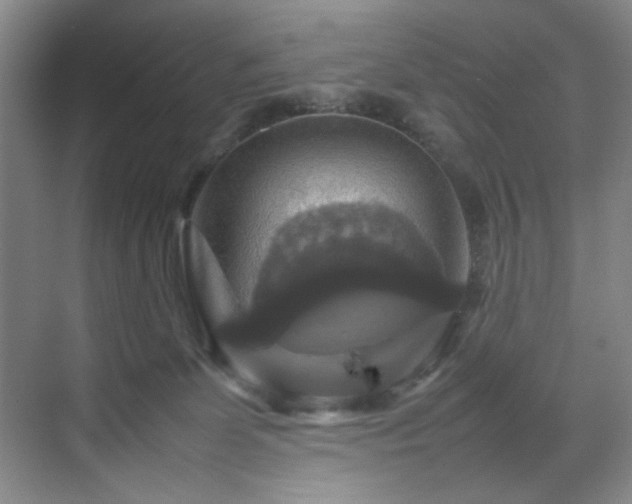 X0000070350131200606161326