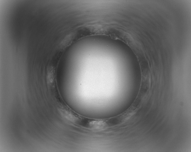 X0000070350133200606161326