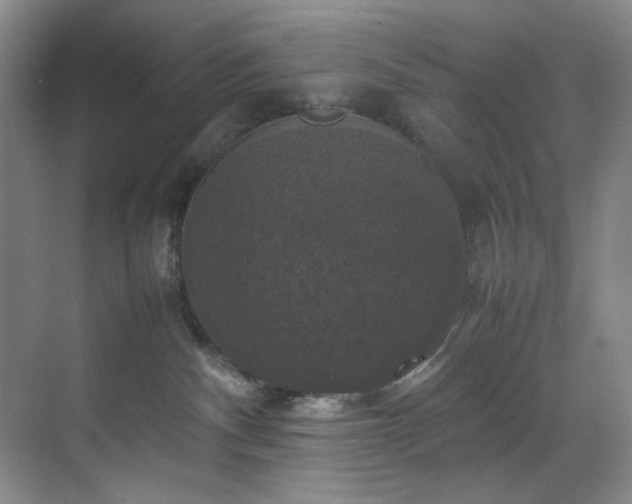 X0000070350140200606161326
