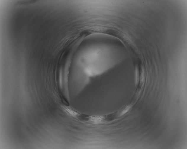 X0000070350143200606161326