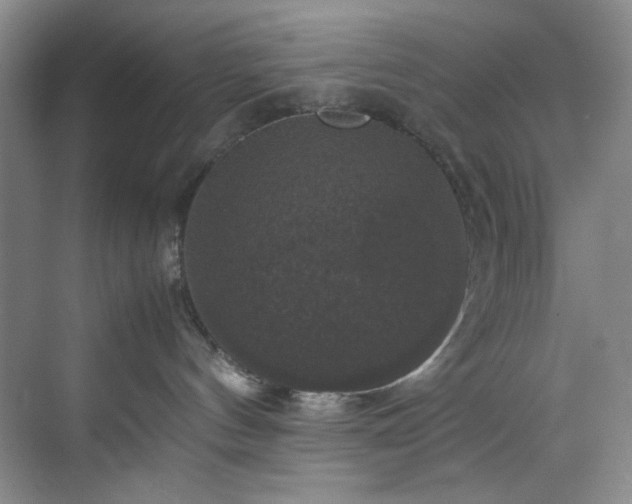 X0000070350144200606161326