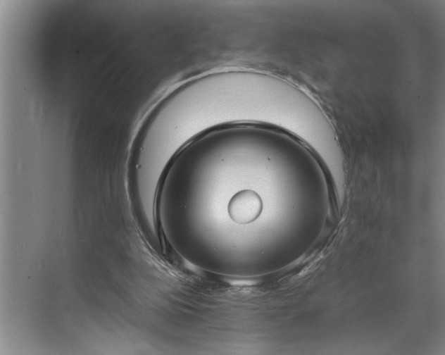 X0000070350152200606161325