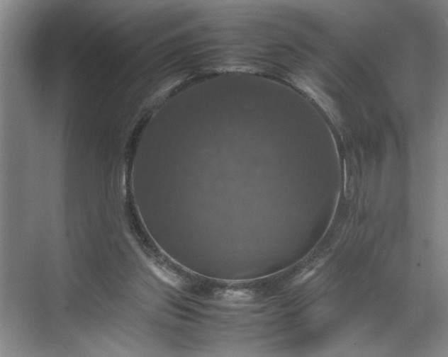 X0000070350157200606161325