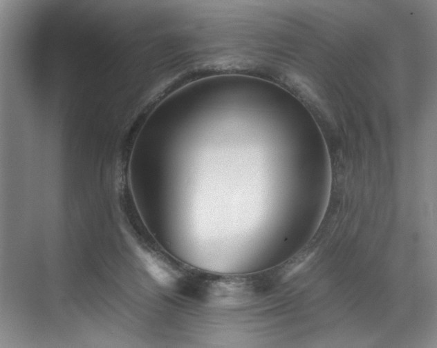 X0000070350164200606161325