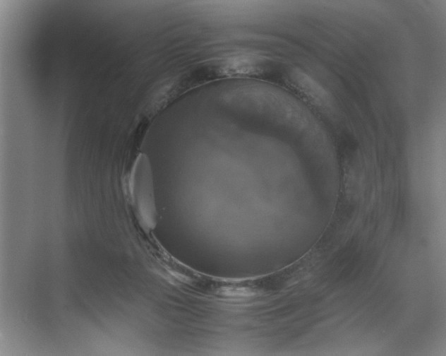 X0000070350169200606161326