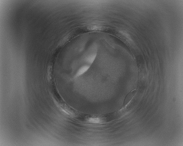 X0000070350171200606161326