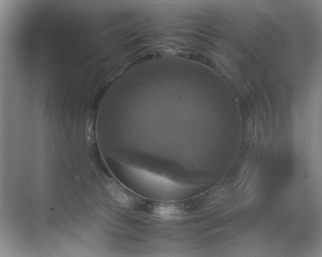 X0000070350177200606161326