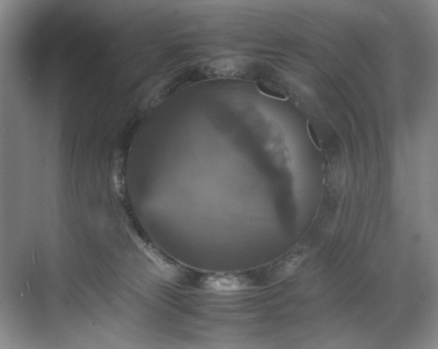 X0000070350181200606161326