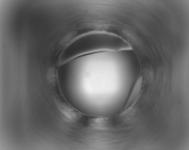 X0000070350184200606161326