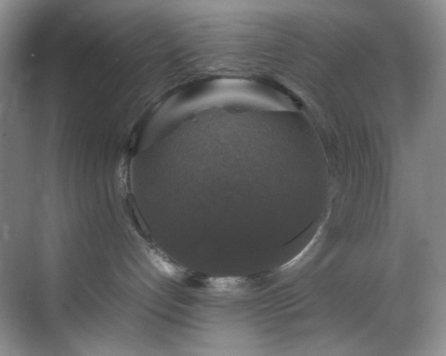 X0000070350192200606161326
