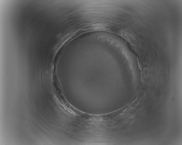 X0000070350194200606161325