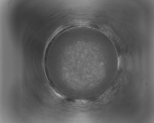 X0000070350195200606161325