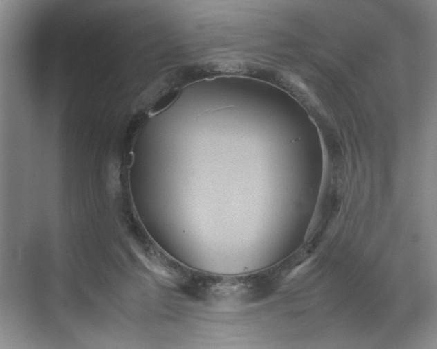 X0000070350213200606161325