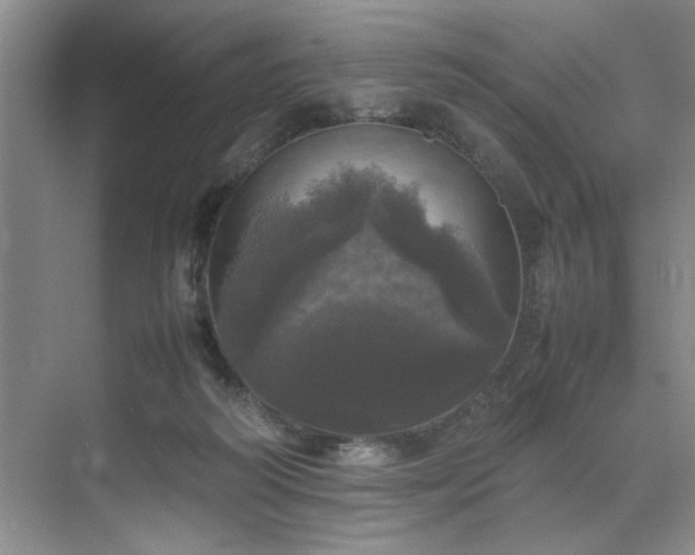 X0000070350218200606161325