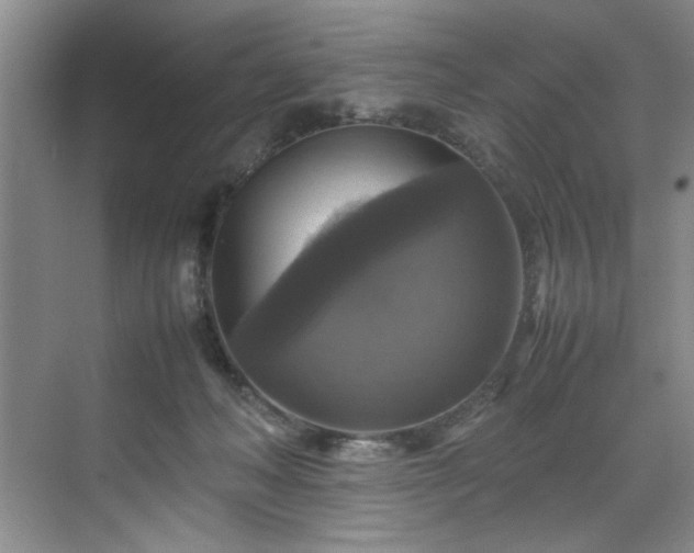 X0000070350222200606161325