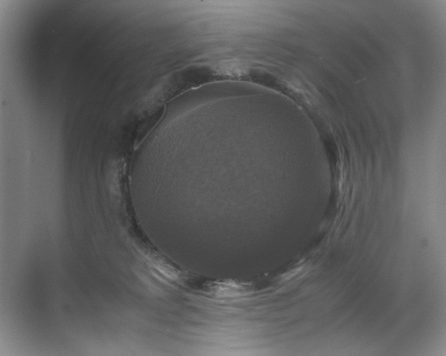 X0000070350229200606161325