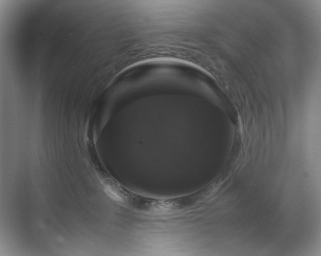 X0000070350235200606161324