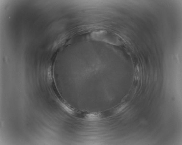 X0000070350238200606161324