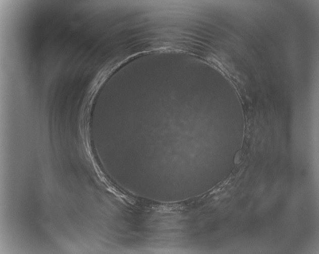 X0000070350241200606161324