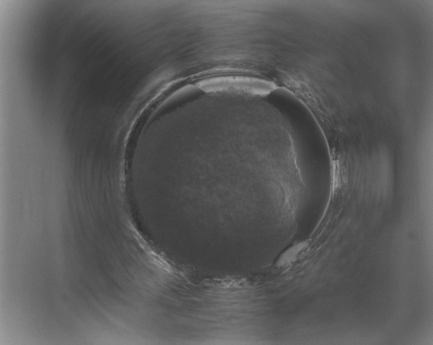 X0000070350243200606161324