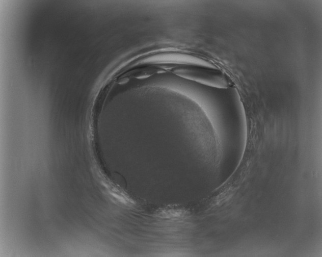 X0000070350247200606161324