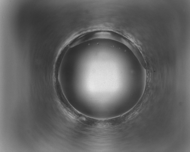 X0000070350248200606161324