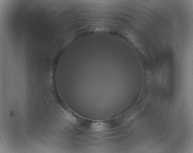 X0000070350269200606161324
