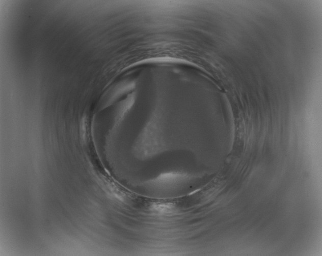X0000070350283200606161324