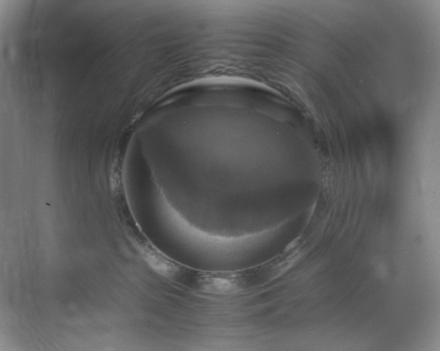 X0000070350285200606161324