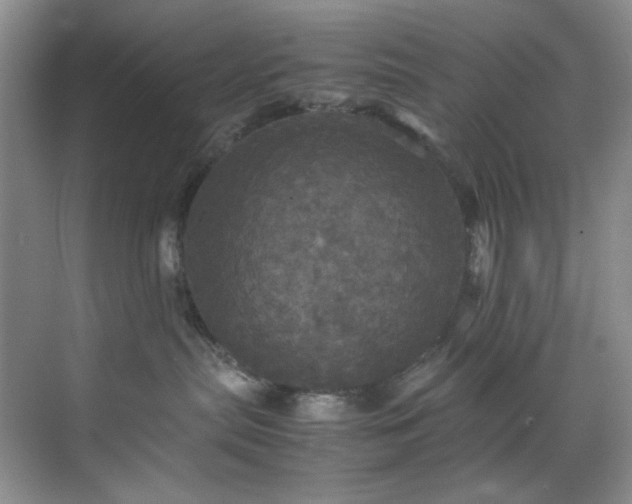 X0000070350287200606161324