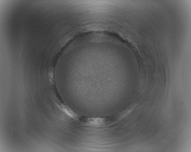 X0000070350288200606161324
