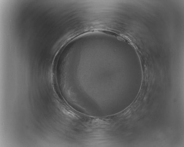 X0000070350290200606161324
