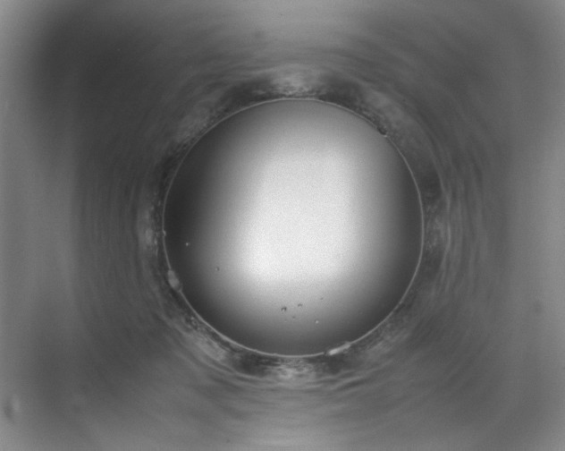 X0000070350317200606161323