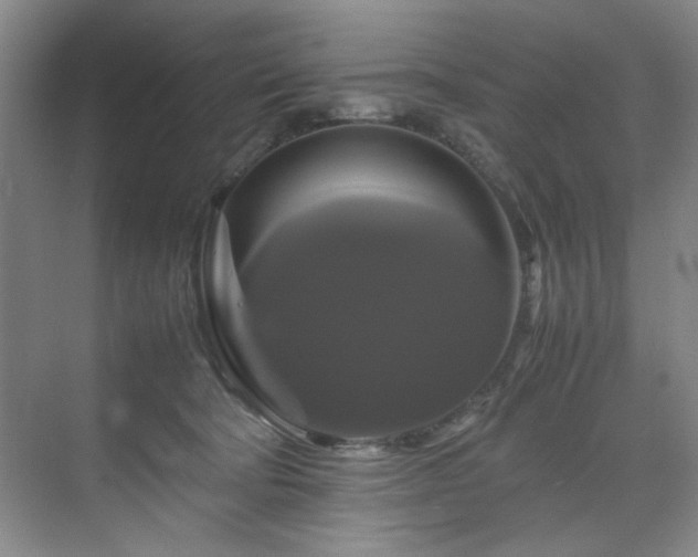 X0000070350322200606161323