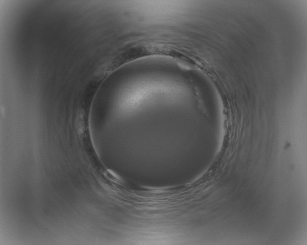 X0000070350323200606161323
