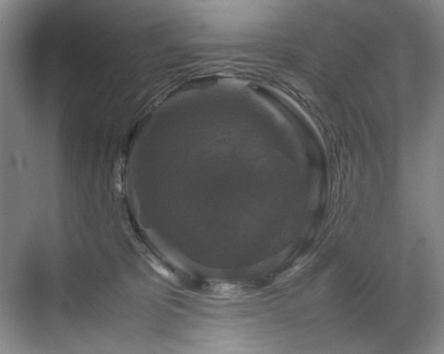 X0000070350325200606161323